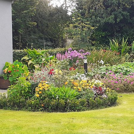 Conways B&B Claremorris Ngoại thất bức ảnh