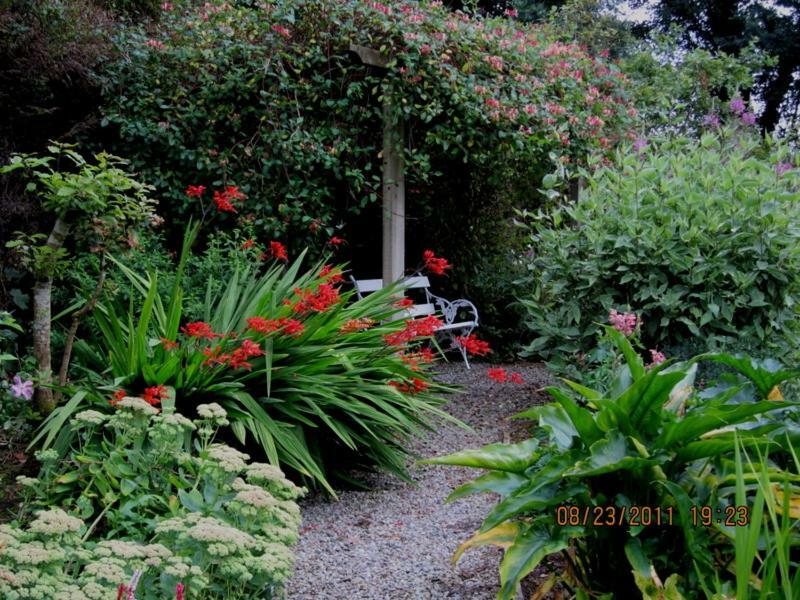 Conways B&B Claremorris Ngoại thất bức ảnh