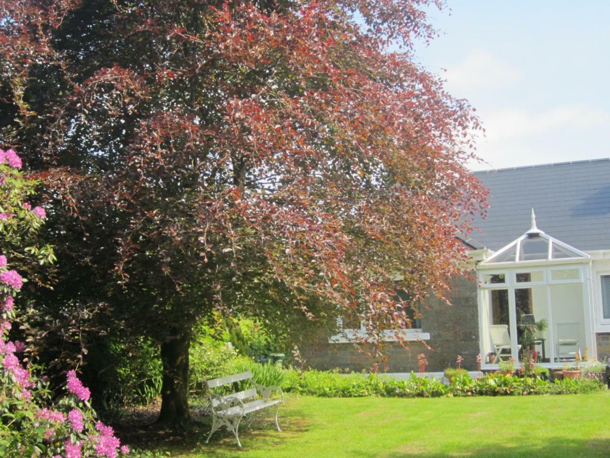 Conways B&B Claremorris Ngoại thất bức ảnh